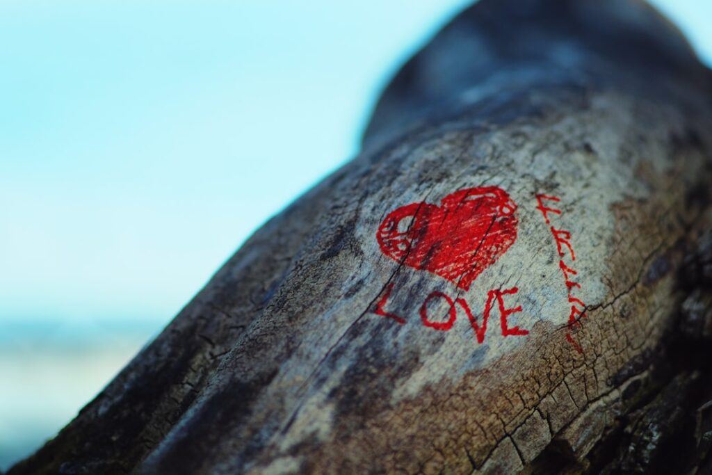 Alles over Noah LaLonde en zijn mogelijke vriendin